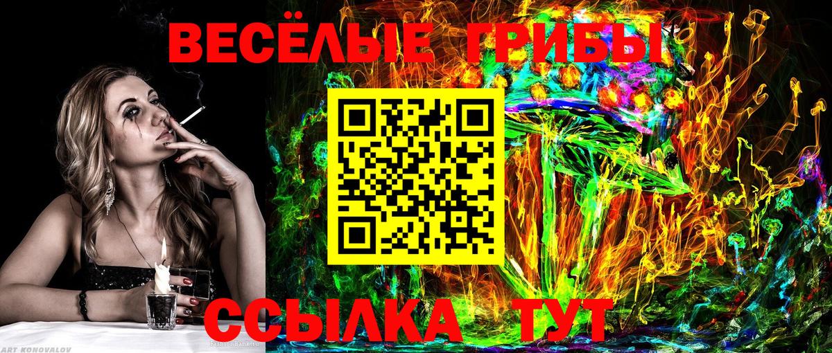 Галлюциногенные грибы GOLDEN TEACHER  Вход с VPN  Каспийск 